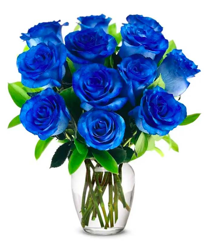 Blue Flower Delivery | Blue Roses